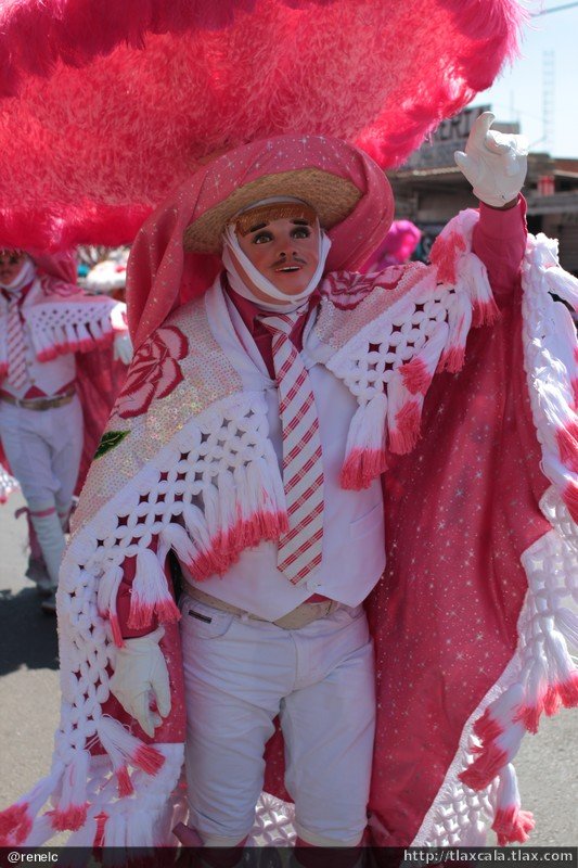 Carnaval Acuitlapilco 2014 - Foto