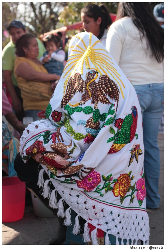 Carnaval Tepeyanco 2014 - Foto
