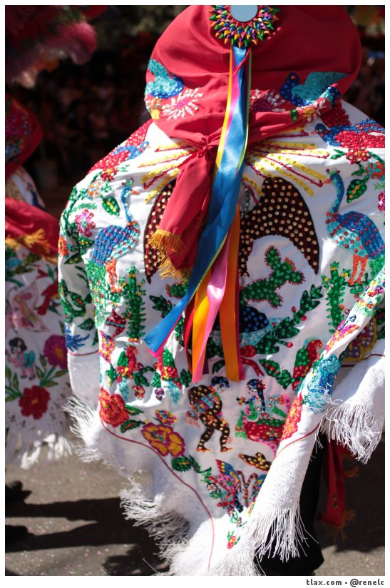 Carnaval Tepeyanco 2014 - Foto