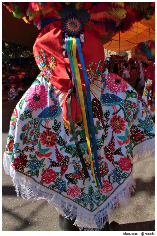 Carnaval Tepeyanco 2014 - Foto