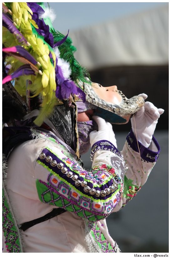 Santa Ursula Zimatepec en el encuentro de camadas Yauhquemecan 2014 - Foto