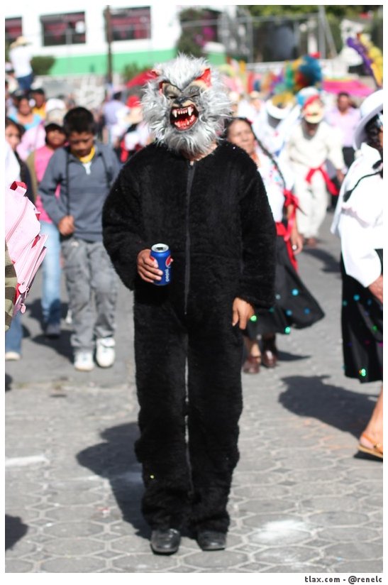 Desfile de Carnaval Panotla 2014 - Foto
