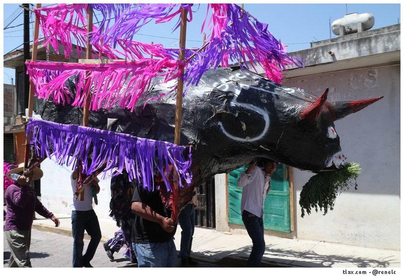 Carnaval del quinto viernes Payasos de Mazatecochco 2014 - Foto