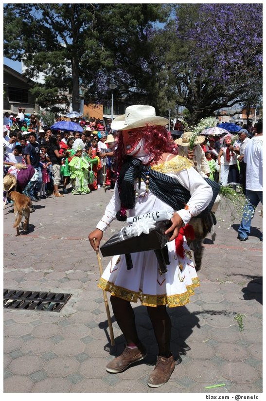 Carnaval del quinto viernes Payasos de Mazatecochco 2014 - Foto