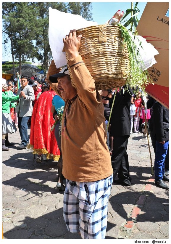 Carnaval del quinto viernes Payasos de Mazatecochco 2014 - Foto