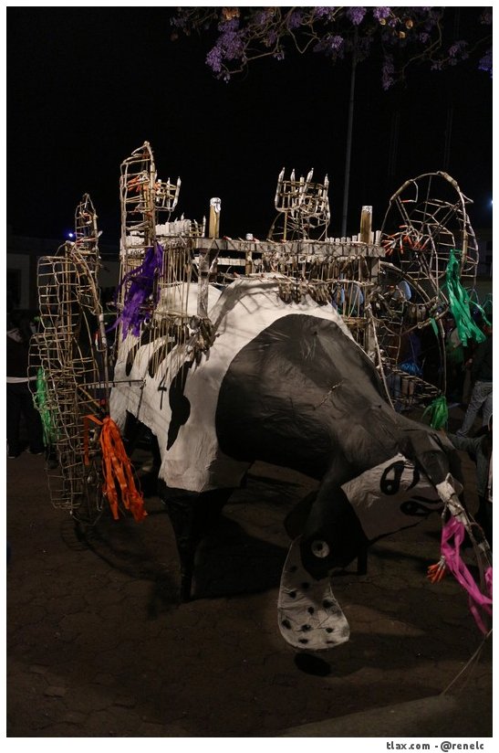 Remate de Carnaval Payasos Mazatecochco 2014, Quema de toros - Foto