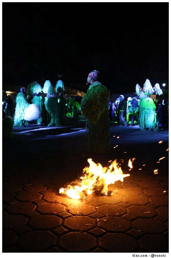 Remate de Carnaval Payasos Mazatecochco 2014, Quema de toros - Foto