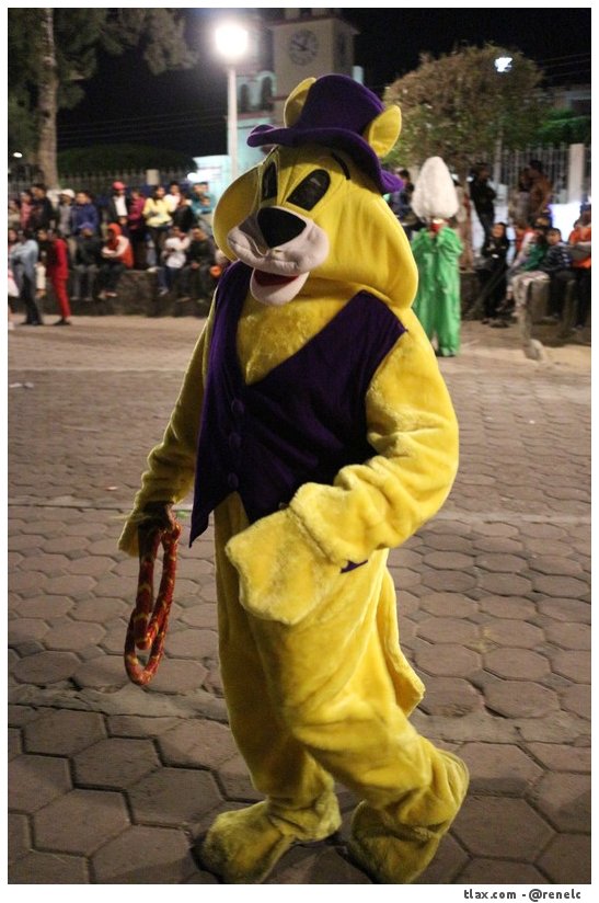 Remate de Carnaval Payasos Mazatecochco 2014, Quema de toros - Foto