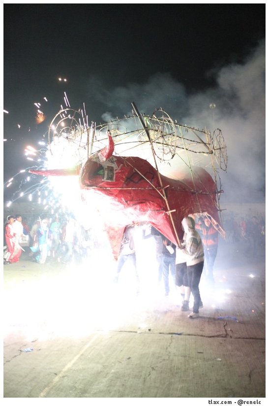 Remate de Carnaval Payasos Mazatecochco 2014, Quema de toros - Foto