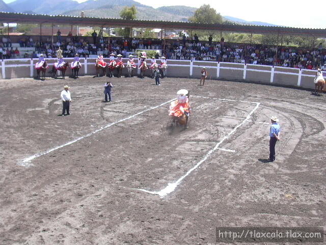 Claudia Becerril de coronelas