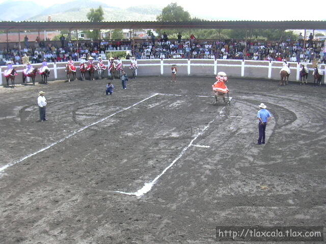 Aide galindo de coronelas