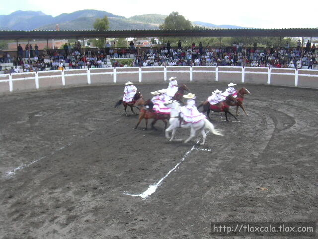 espuelas en Coladera