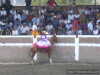 Tulantepec en accion