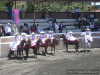Espuelas de Tlaxco