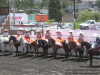 Coronelas de Apizaco