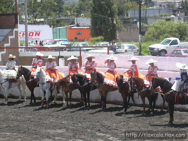 Coronelas de Apizaco