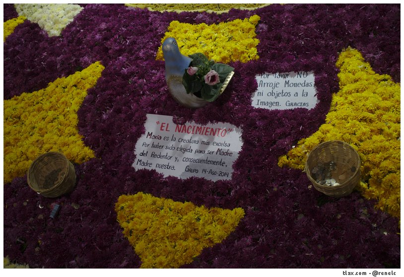 La noche que nadie duerme, las alfombras huamantla 2014 - Foto