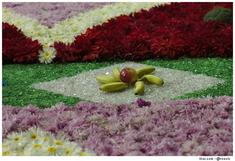 La noche que nadie duerme, las alfombras huamantla 2014 - Foto