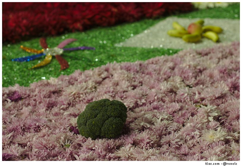 La noche que nadie duerme, las alfombras huamantla 2014 - Foto