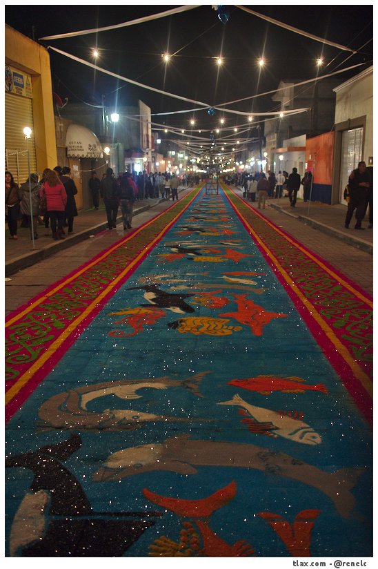 La noche que nadie duerme, las alfombras huamantla 2014 - Foto