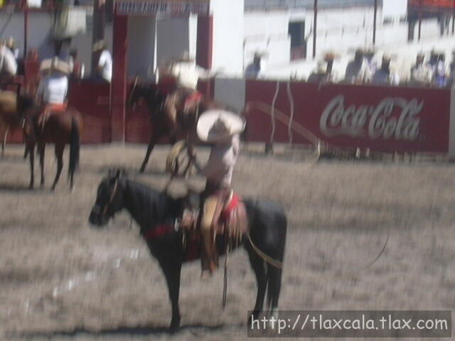 Terna