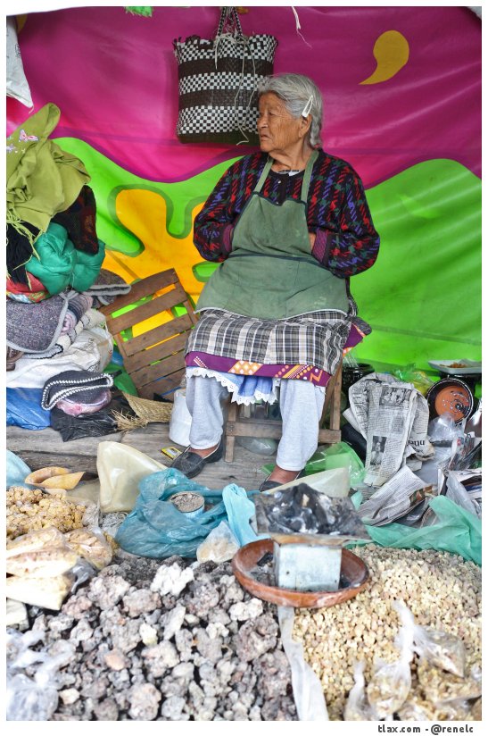 Feria San Miguel del Milagro 2014 - Foto