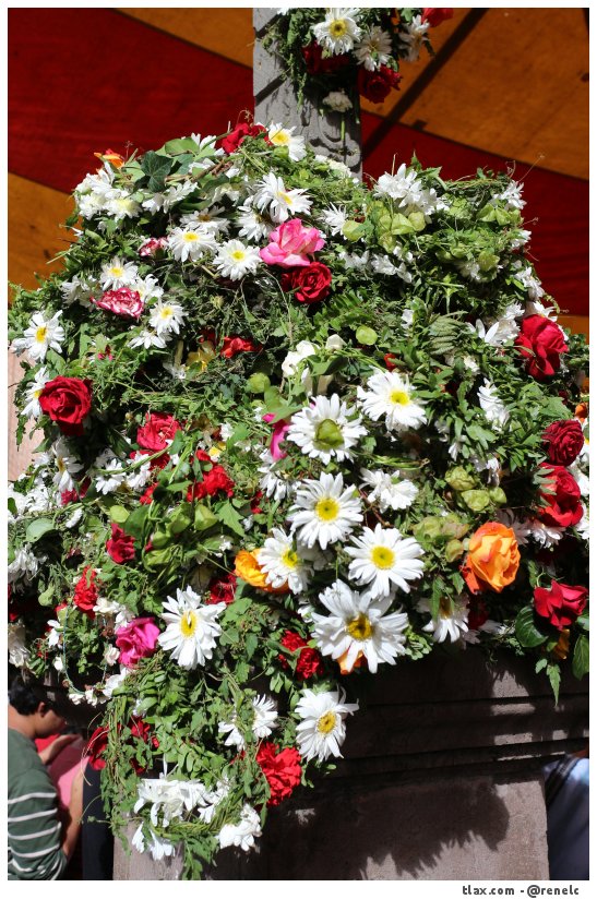 Feria San Miguel del Milagro 2014 - Foto