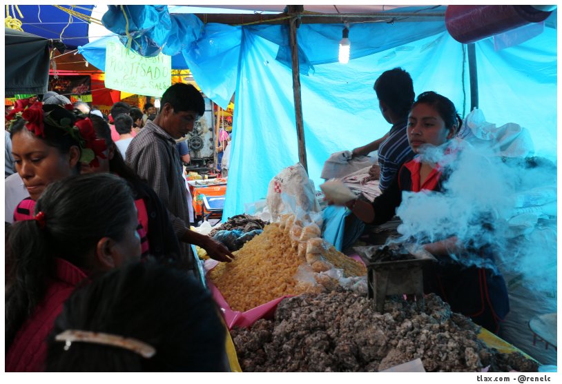 Feria San Miguel del Milagro 2014 - Foto