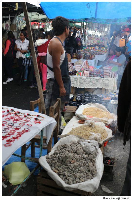 Feria San Miguel del Milagro 2014 - Foto