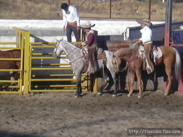 Horacio Garcia en cajones