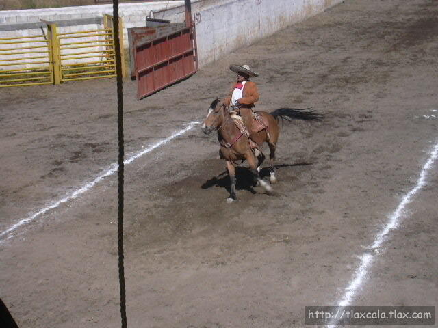 Giros don Manuel