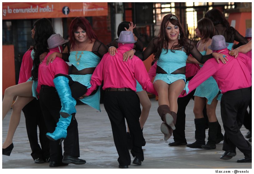 Cachorras de Ocotlan