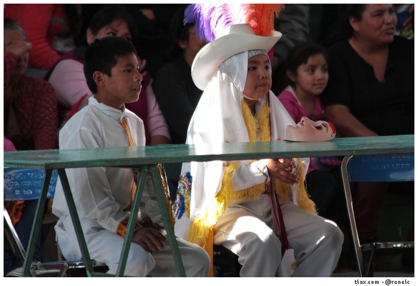 Camada juvenil de Ocotlan