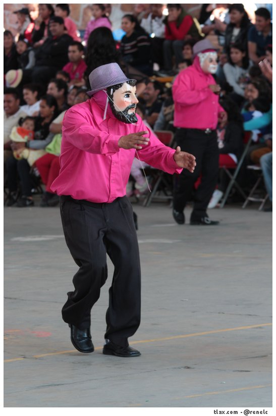 Cachorras de Ocotlan