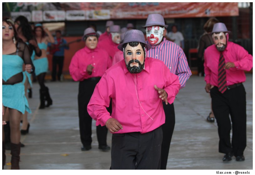Cachorras de Ocotlan