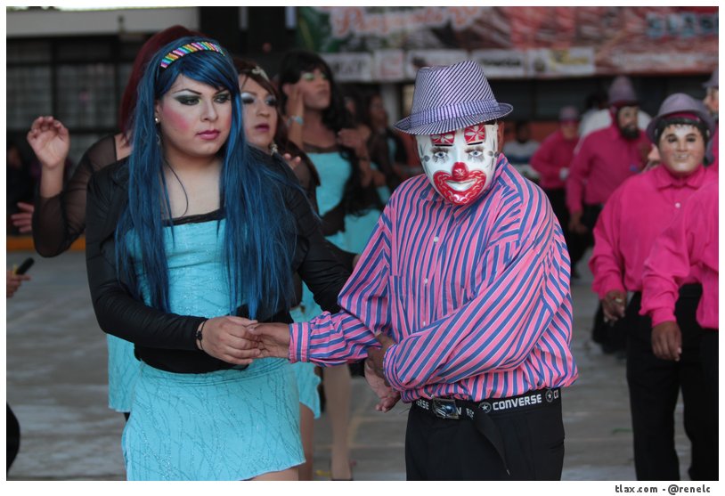 Cachorras de Ocotlan