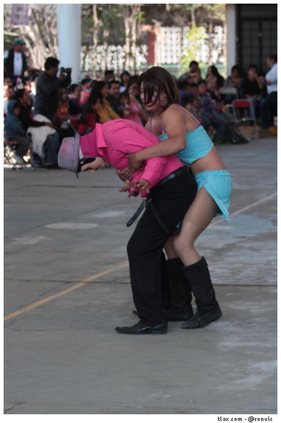 Cachorras de Ocotlan