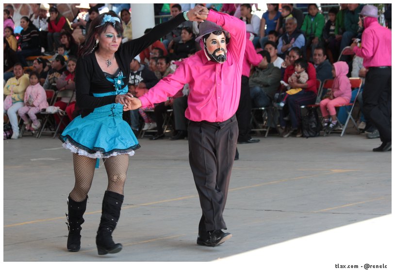 Cachorras de Ocotlan