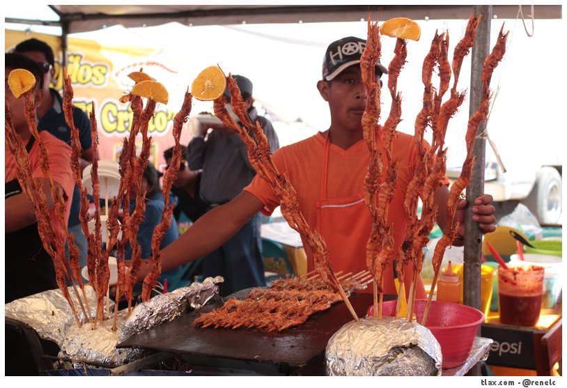 Camarones