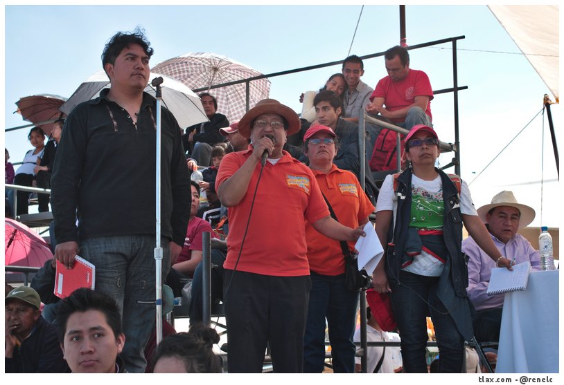 Organizadores