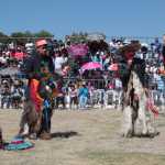 Chivarrudos de Xicohtzinco