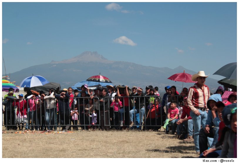 Publico