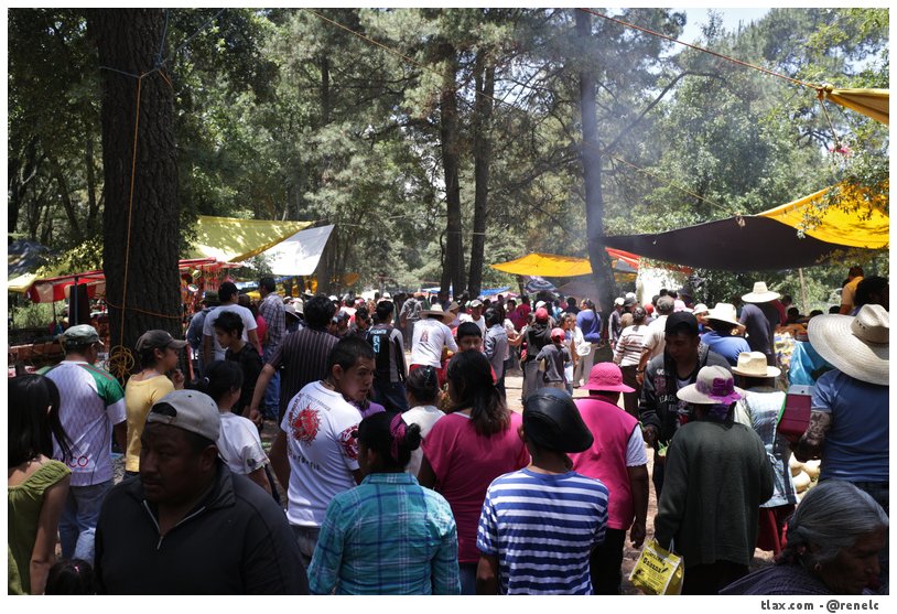 Seor del monte 2015 - Foto