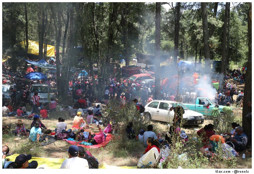Seor del monte 2015 - Foto