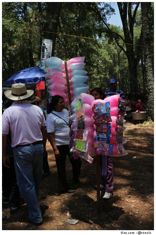 Seor del monte 2015 - Foto