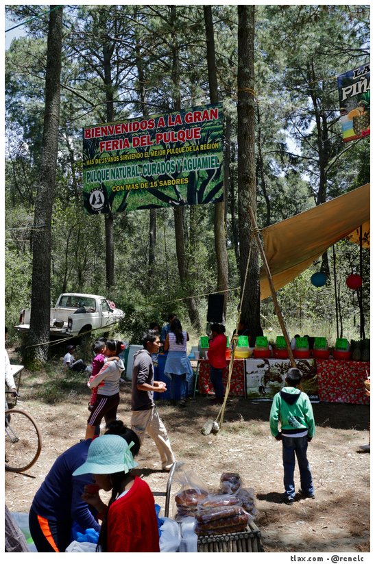 Seor del monte 2015 - Foto