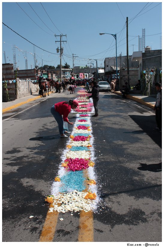 Procesin San Isidro Buensuceso 2015 - Foto