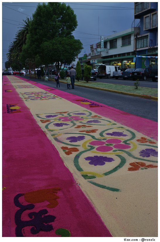 Alfombras Virgen de la misericordia 2015 en Apizaco - Foto
