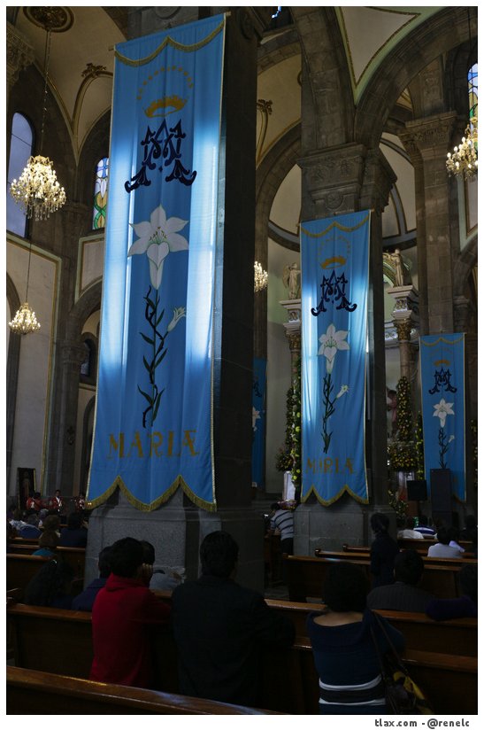 Alfombras Virgen de la misericordia 2015 en Apizaco - Foto
