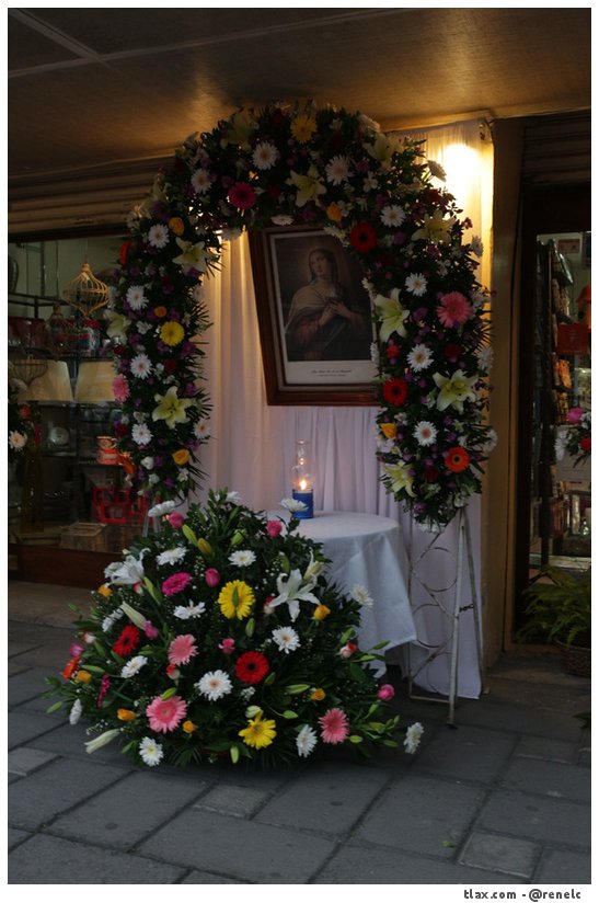 Alfombras Virgen de la misericordia 2015 en Apizaco - Foto